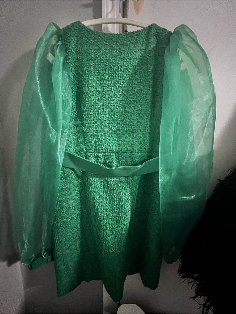 Green Textured Dress with Sheer Puff Sleeves